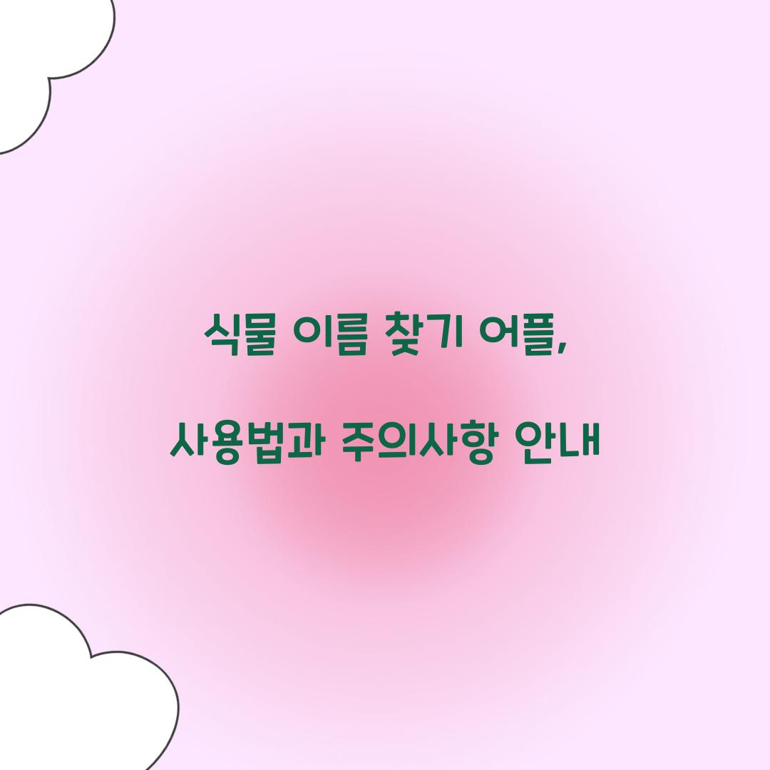 식물 이름 찾기 어플