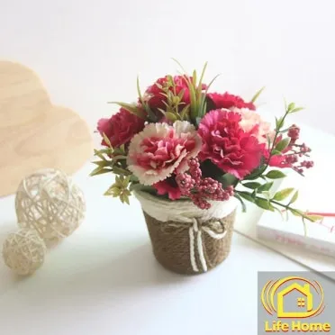 카네이션 화분 키우는 방법 생화 꽃바구니 관리_12