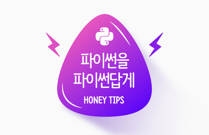 파이썬을 파이썬답게