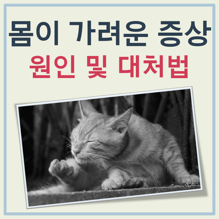 몸이 가려운 증상 대표 이미지