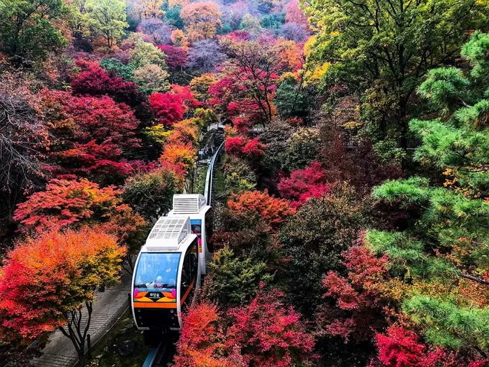 화담숲 예약 방법과 방문 팁 총정리