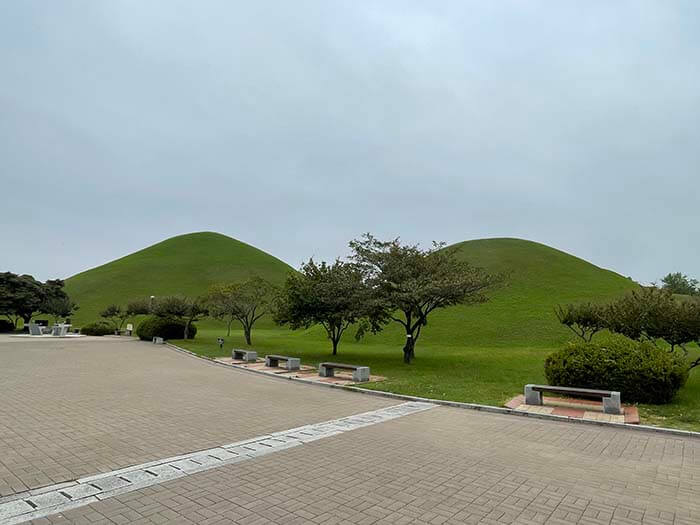 경주 대릉원 내 주인을 모르는 능들의 모습과 천마총으로 가는 산책로가 있는 사진
