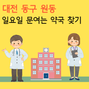 대전 동구 원동 일요일 문여는 당번 약국