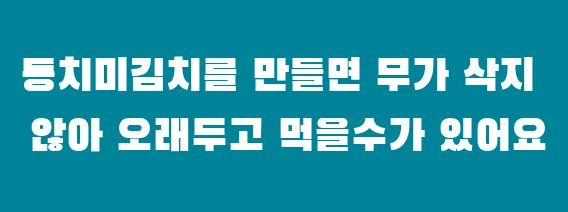 동치미김치를 만들면 무가 삭지 않아 오래두고 먹을수가 있어요