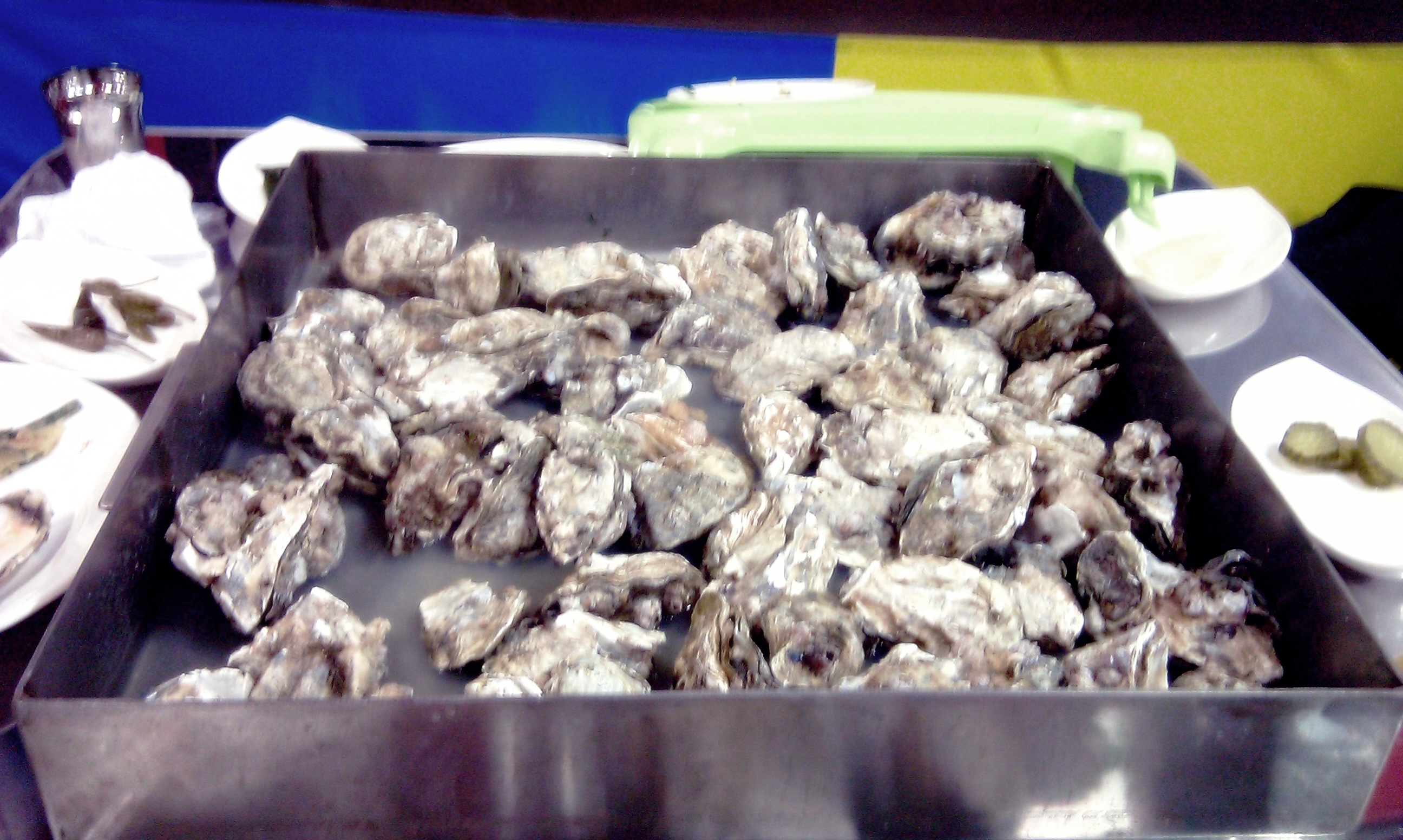 철판에서 익어가는 굴구이