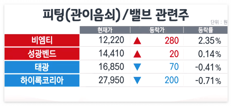 뿐만-아니라-피팅/밸브-관련주에는-비엠티,-성광밴드,-태광과-하이록코리아도-있다.