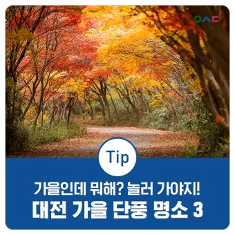 가을 단풍 명소 대중교통 걷기 코스 무료주차 팁_22