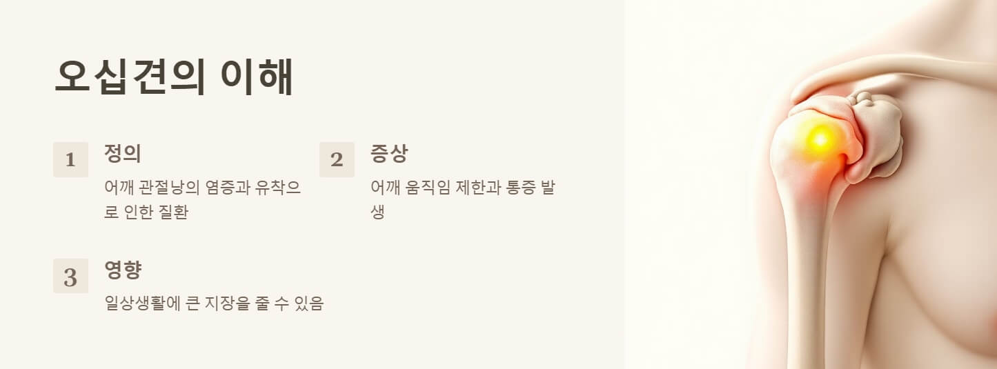 오십견에 좋은 운동