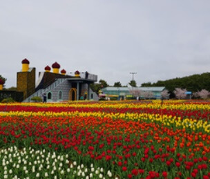 봄 축제 가볼만한 곳