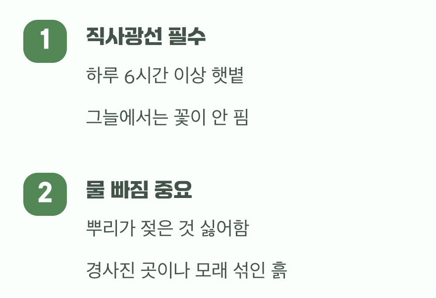 햇볕이 가장 좋은 양분