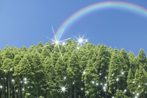 식목일의 유례 알아보기