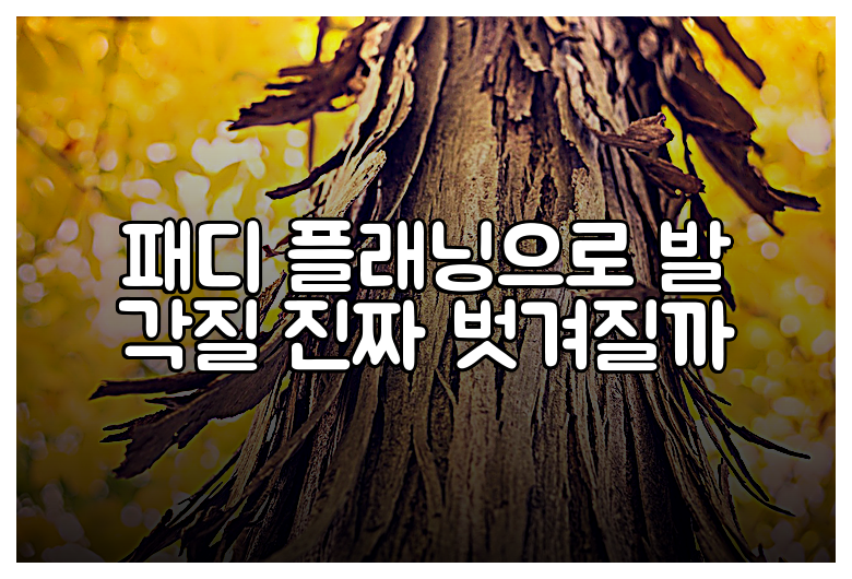 패디 플래닝으로 발 각질 진짜 벗겨질까
