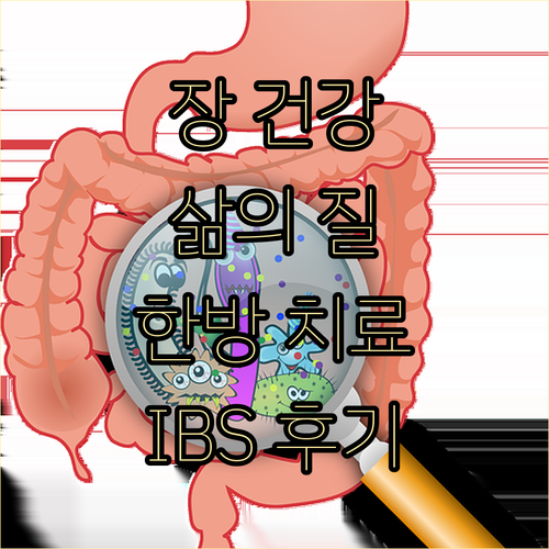 장 건강과 삶의 질 향상: 과민성대장