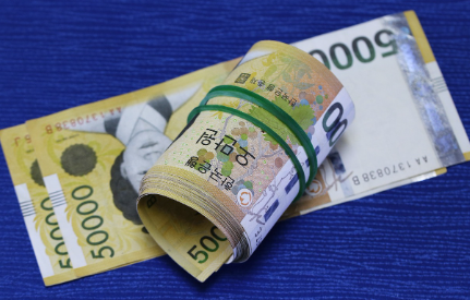 고흥-민생지원금