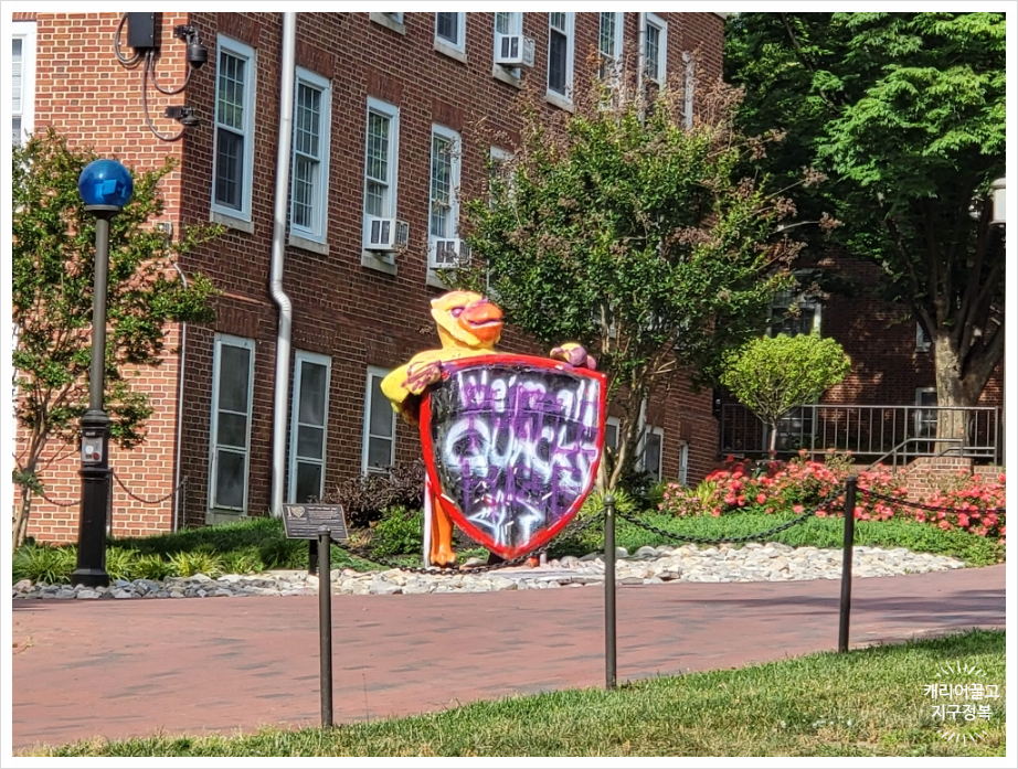 존스 홉킨스 대학교 셀프 투어