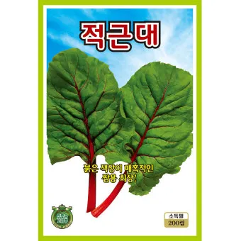 적근대 재배 씨 뿌림 솎음 수확 색 유지_11