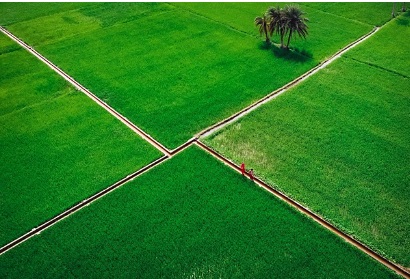 농지연금 지급방식 적용금리 및 지급정지사유