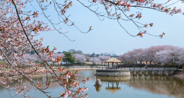 면천읍성-골정지