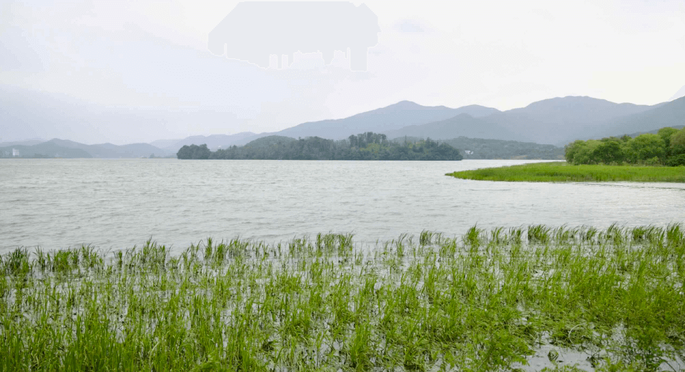 양평 두물머리 물안개 여행에서 마주하는 물과 시간의 경계가 흐려지는 순간