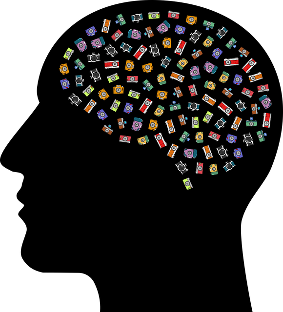 뇌의 각성 메커니즘: 뇌파와 각성 상태의 관계