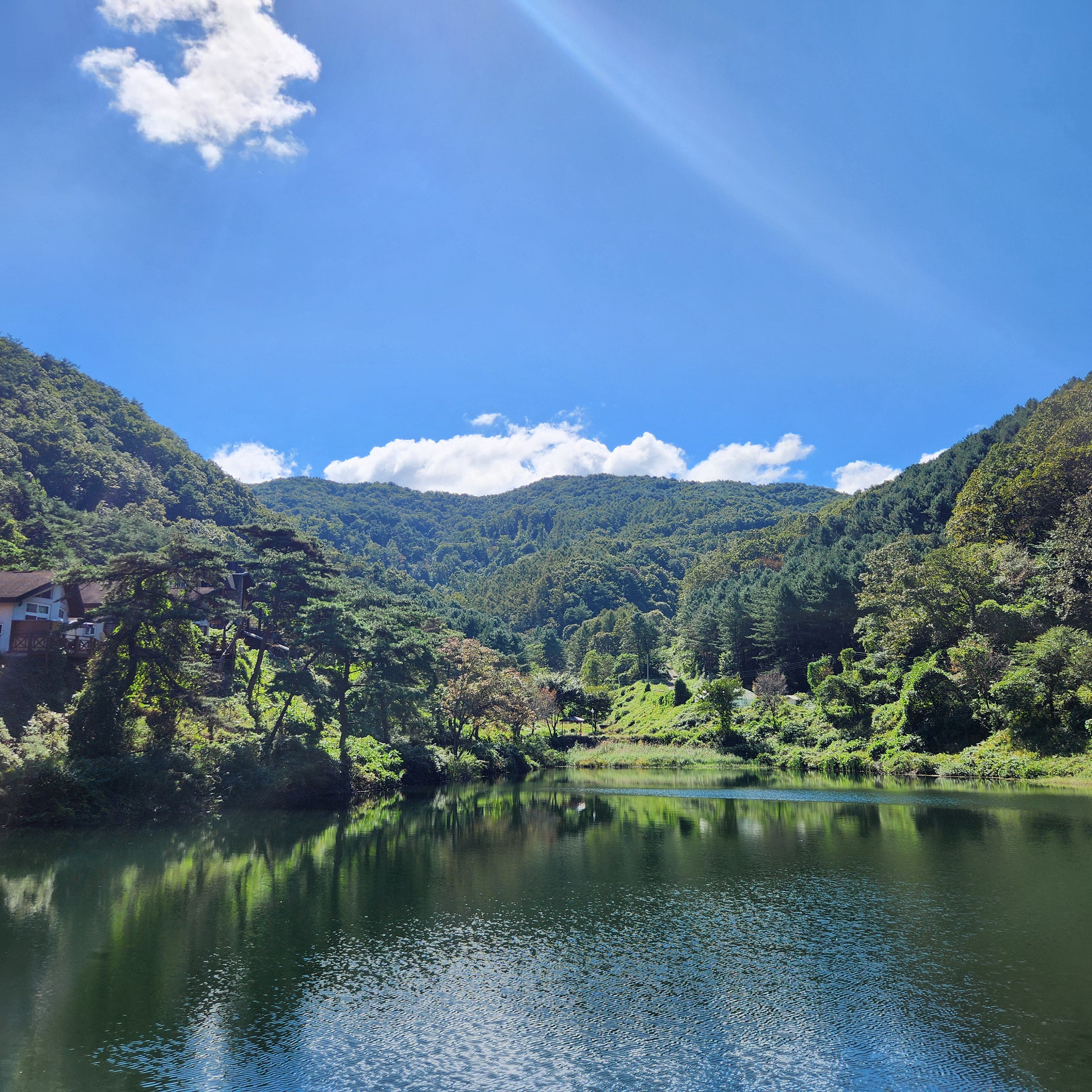 양평 도토리골 카페 - 거의 외국인데...? 사람 없는 히든 카페!
