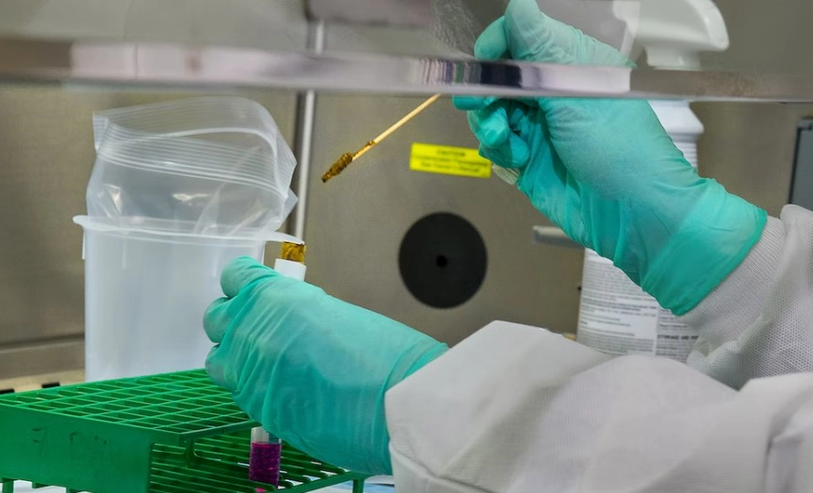 조인트스템이란?