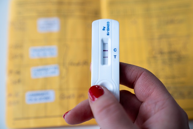 코로나진단키트 양성 확진