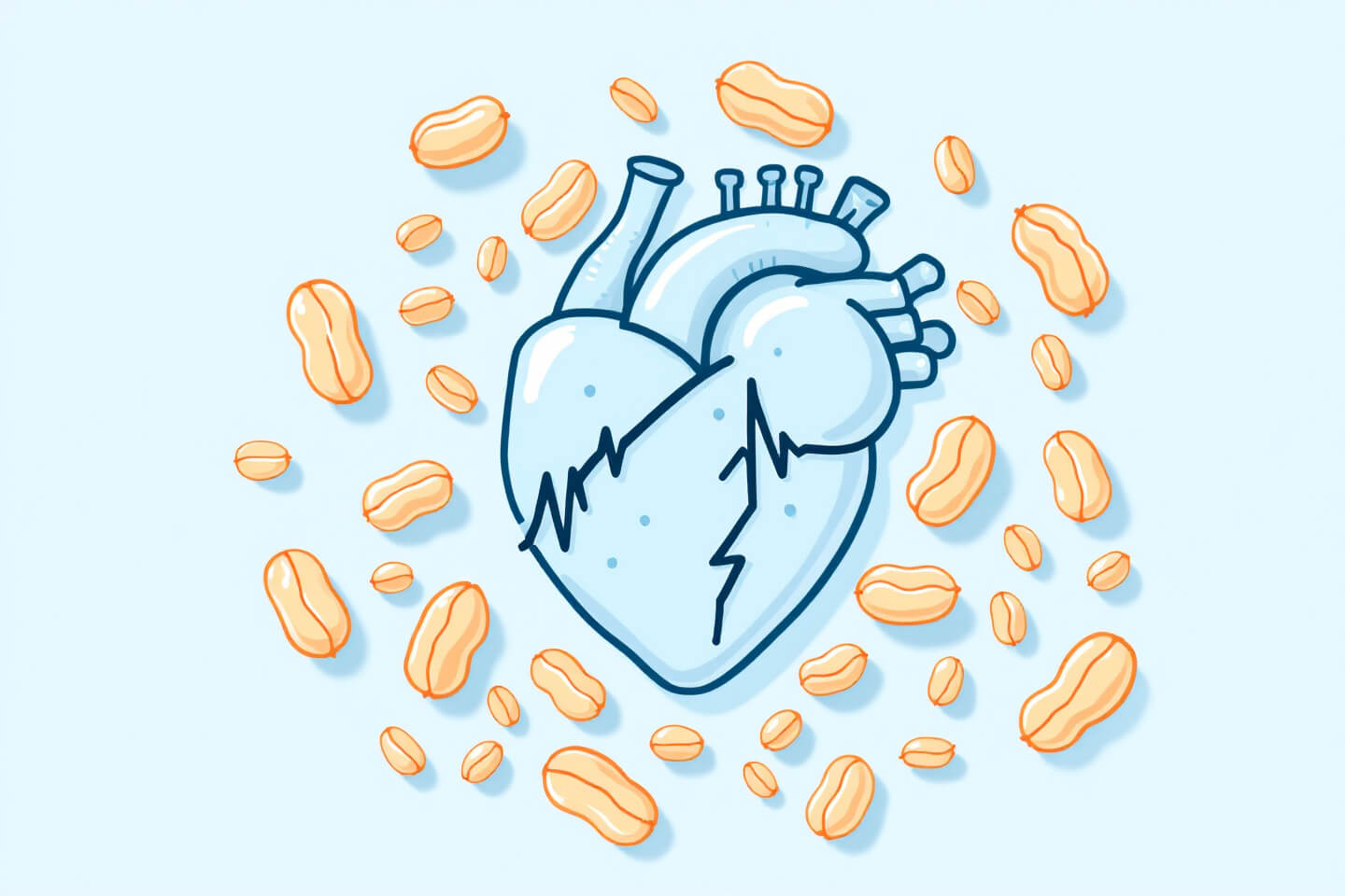 땅콩 사진입니다.