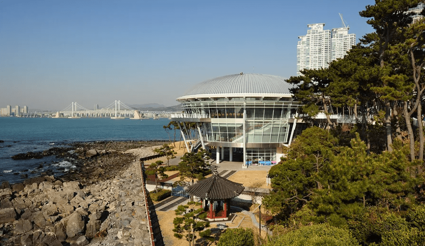 매화-개화-시기-축제