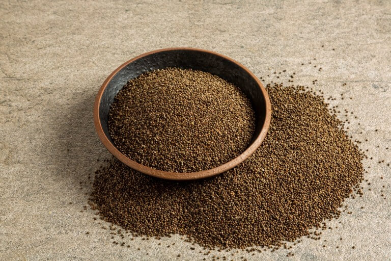 장마 기간 심으면 좋은 텃밭 작물