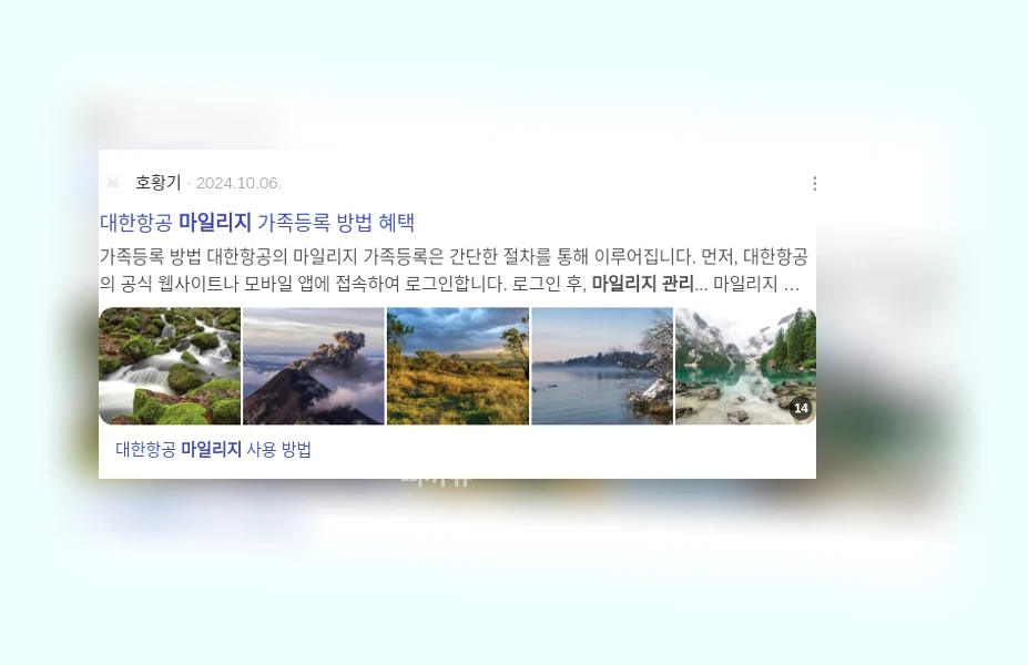 마일리지 관리_3_subsection
