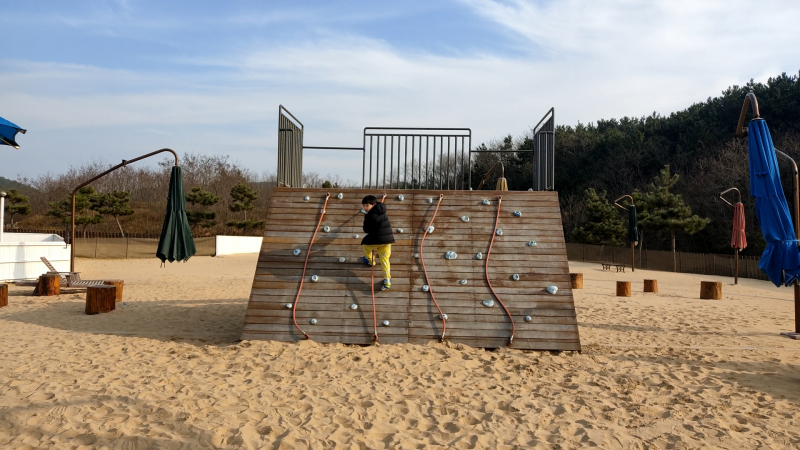 신두리해안사구