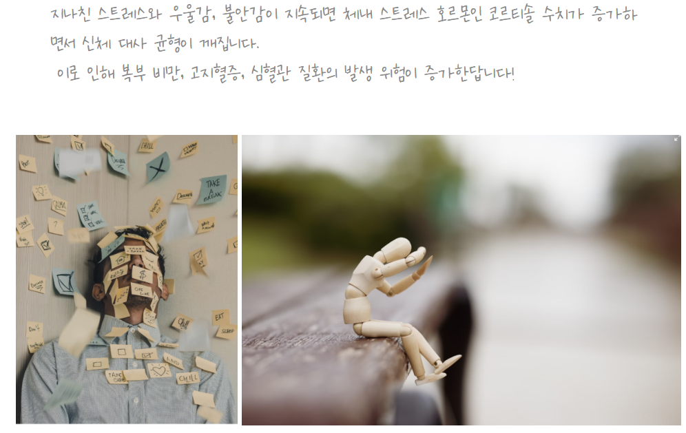 신체적 영향