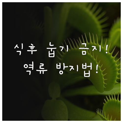 식후 바로 눕지 않기 포함 위산 역류..