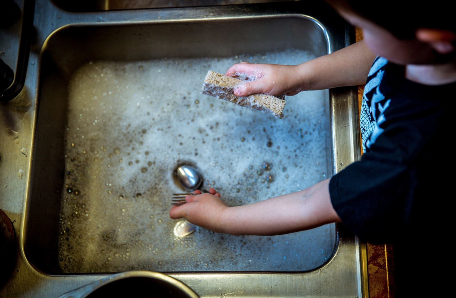 친환경 세제 vs 일반 세제: 성분&middot;효과&middot;환경영향 비교