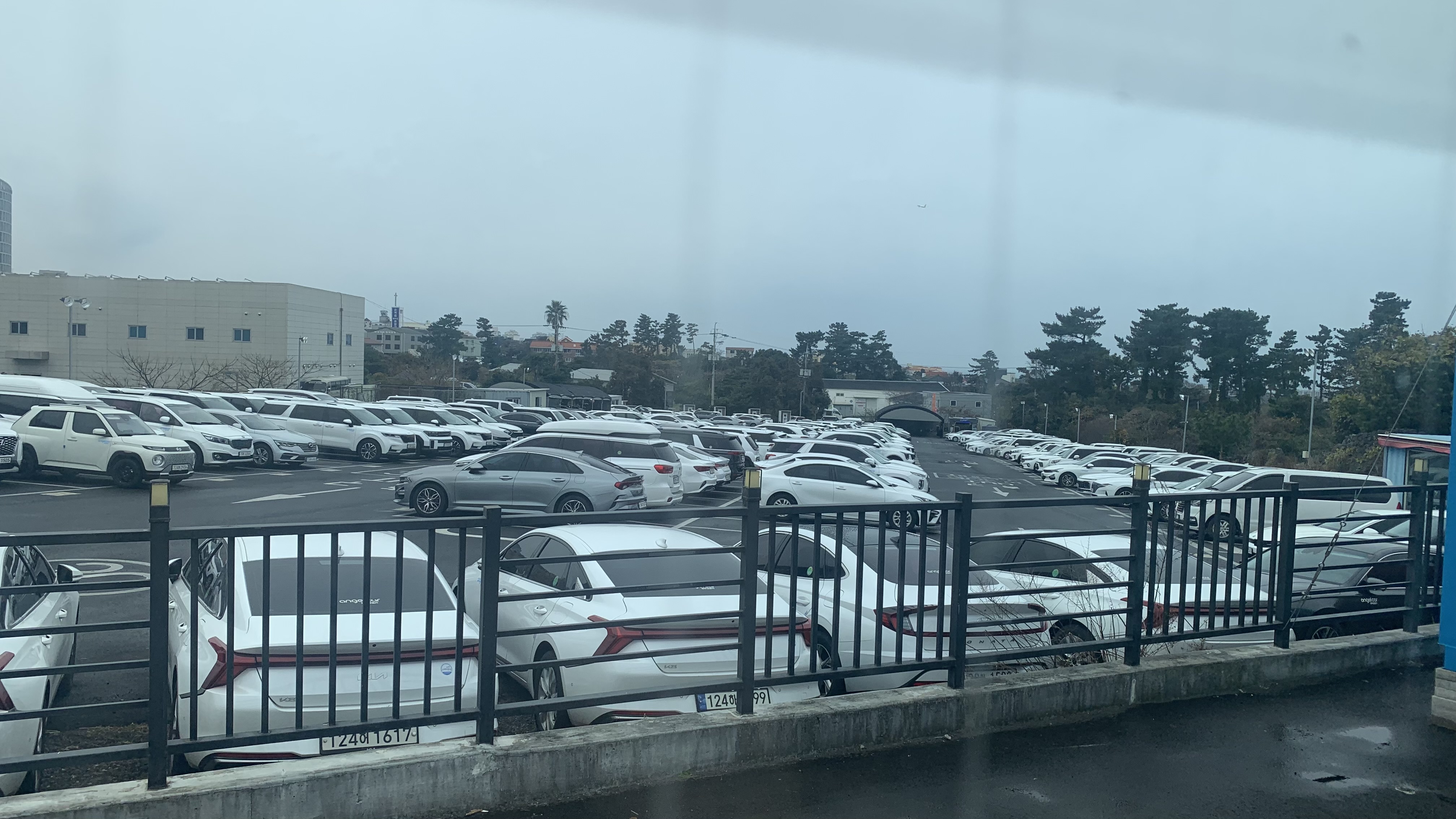 제주도 렌트카 엔젤카 후기 슈퍼면책 + 코나 대여 만족도 최고!