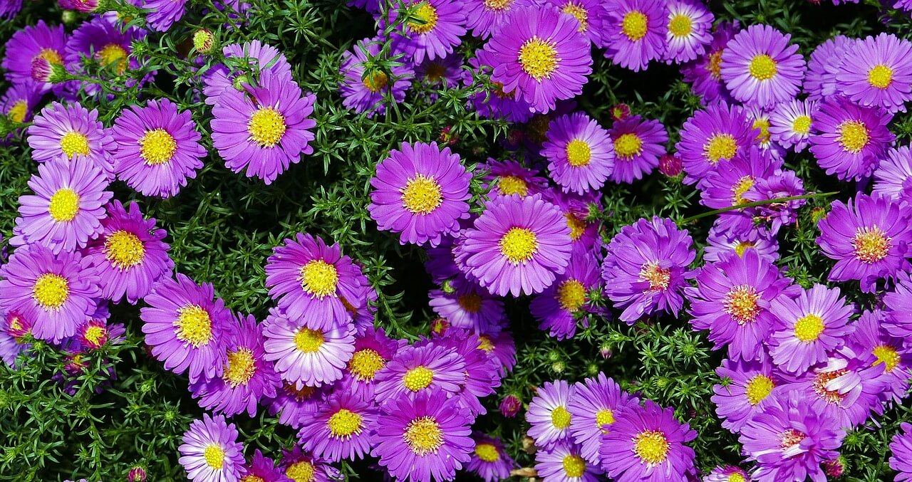 전국 가을 축제 추천