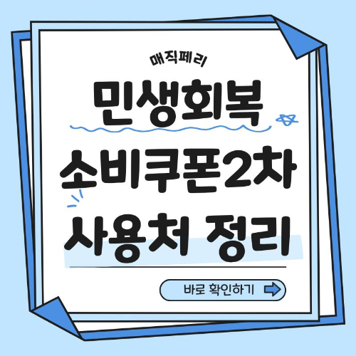 민생회복 소비쿠폰 2차 사용처