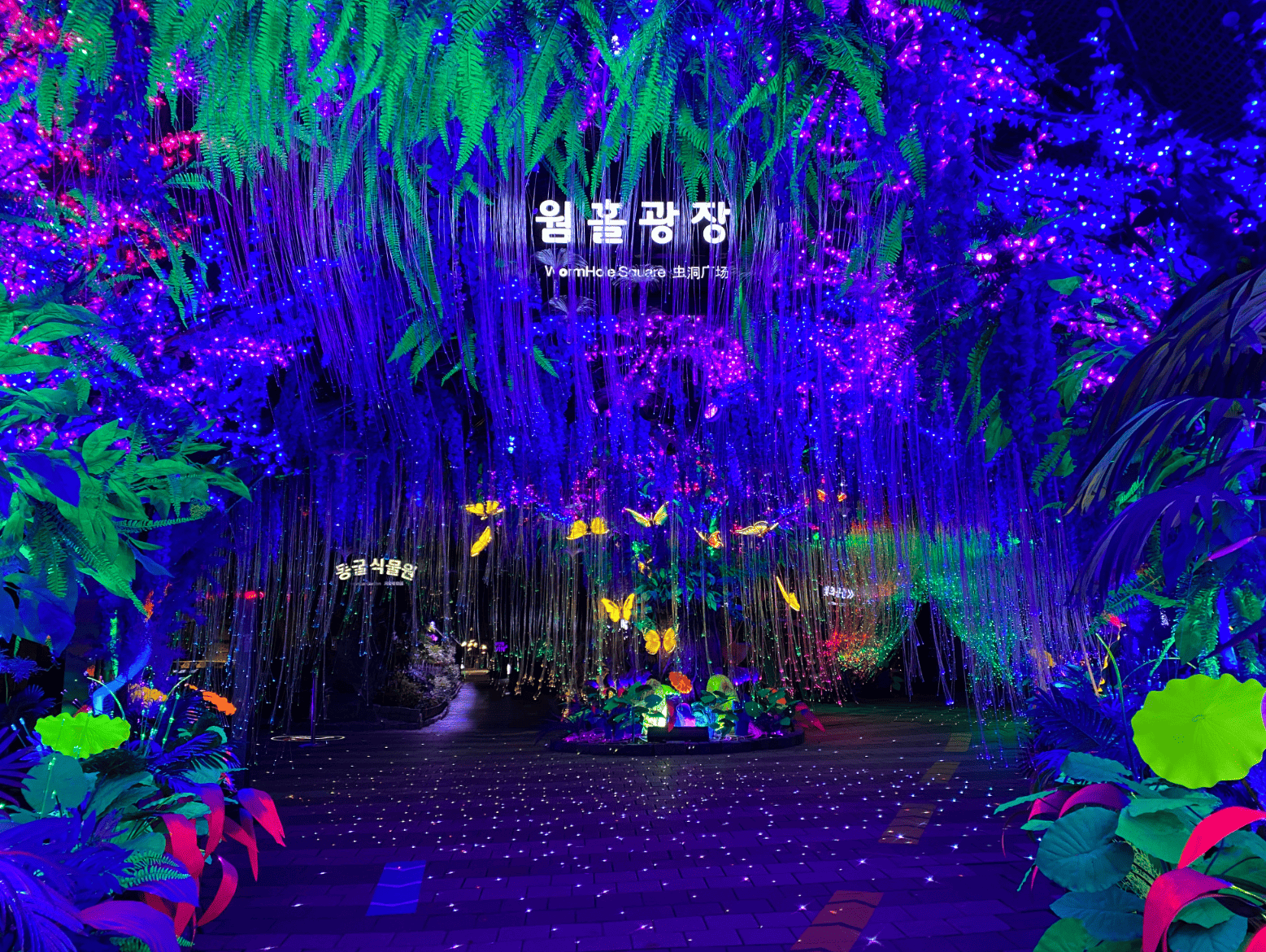 광명동굴 입장료 할인 방법 주차 꿀팁!