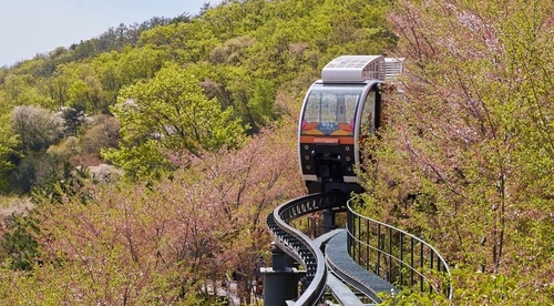 화담숲 모노레일 바로 예약하기