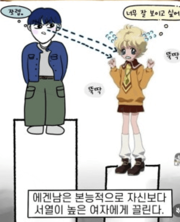 에겐남&middot;테토남 