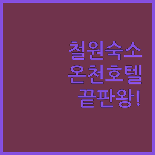 강원도 철원 여행 숙소 추천 온천 호..