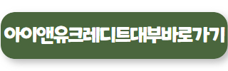 아이앤유크레디트대부 02