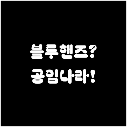 엔진오일 교체, 블루핸즈 갈까 공임나..
