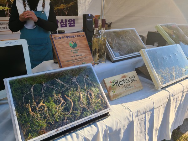 [5월 축제]창포원❘2025 거창에 온 봄 축제, 아리미아꽃축제,거창한 산양삼 축제