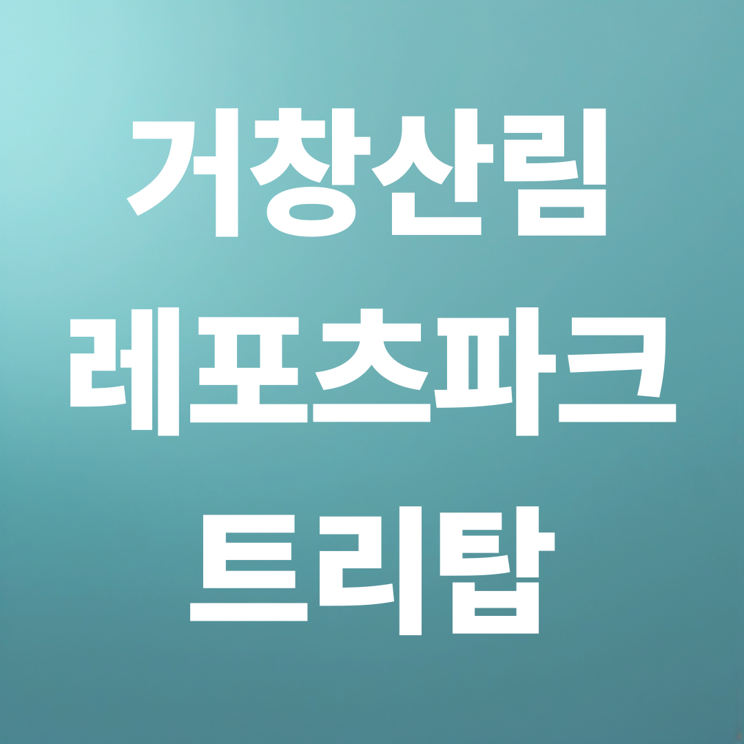 거창산림레포츠파크 트리탑 이용료 총정리