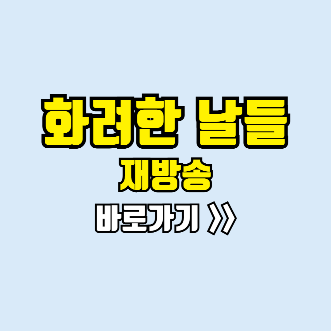 화려한날들 재방송