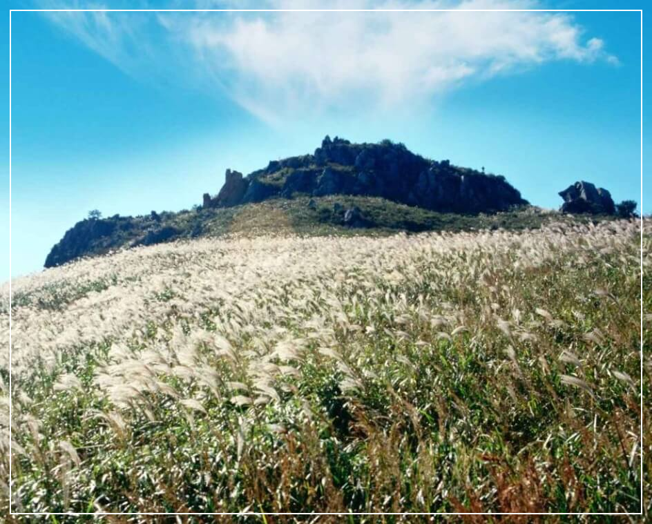 거제도 가볼만한곳 베스트10 대금산