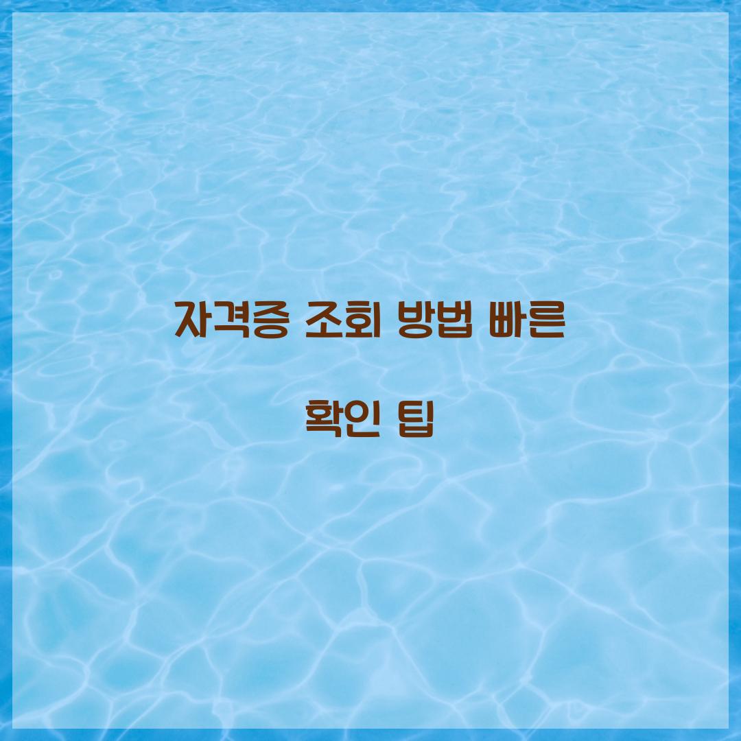 자격증 조회 방법
