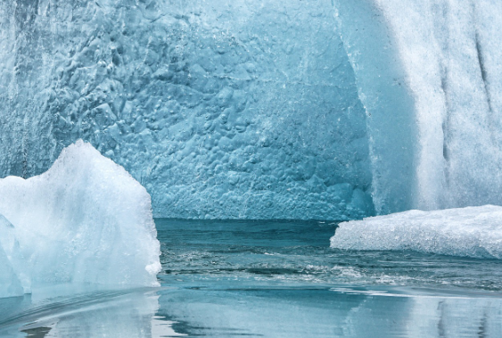 고대 DNA, 현대 생물학에 새로운 길을 열다— 빙하 속 과거 생명체의 흔적을 현재에 되살리는 실험